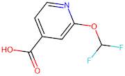 2-(Difluoromethoxy)isonicotinic acid