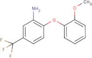 3-Amino-4-(2-methoxyphenoxy)benzotrifluoride