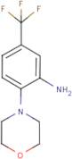 N-[2-Amino-4-(trifluoromethyl)phenyl]morpholine