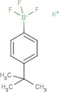 Potassium (4-tert-butylphenyl)trifluoroborate