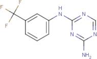 2-N-[3-(Trifluoromethyl)phenyl]-1,3,5-triazine-2,4-diamine