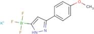 Potassium trifluoro(3-(4-methoxyphenyl)-1H-pyrazol-5-yl)borate