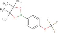 (4-(Trifluoromethoxy)phenyl) boronic acid pinacol ester