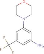 3-(Morpholin-4-yl)-5-(trifluoromethyl)aniline