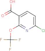 6-Chloro-2-(trifluoromethoxy)nicotinic acid