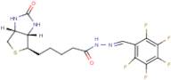 Biotinpentafluorohydrazone