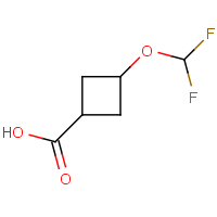 3-(Difluoromethoxy)cyclobutane-1-carboxylic acid