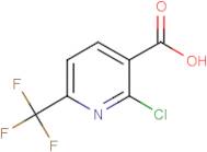 2-Chloro-6-(trifluoromethyl)nicotinic acid