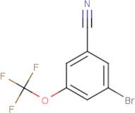 3-Bromo-5-(trifluoromethoxy)benzonitrile