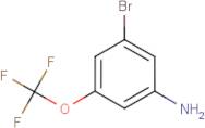 3-Bromo-5-(trifluoromethoxy)aniline