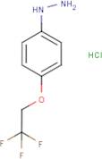 4-(2,2,2-Trifluoroethoxy)phenylhydrazine hydrochloride