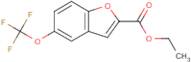 Ethyl 5-(trifluoromethoxy)benzofuran-2-carboxylate