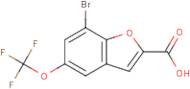 7-Bromo-5-(trifluoromethoxy)benzofuran-2-carboxylic acid