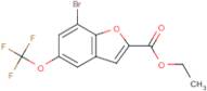 Ethyl 7-bromo-5-(trifluoromethoxy)benzofuran-2-carboxylate