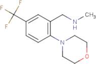 N-Methyl-N-[2-morpholin-4-yl-5-(trifluoromethyl)benzyl]amine