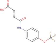 4-Oxo-4-{[4-(trifluoromethoxy)phenyl]amino}but-2-enoic acid