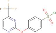 4-{[4-(Trifluoromethyl)pyrimidin-2-yl]oxy}benzenesulphonyl chloride