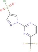 1-[4-(Trifluoromethyl)pyrimidin-2-yl]-1H-pyrazole-4-sulphonyl chloride