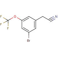 3-Bromo-5-(trifluoromethoxy)phenylacetonitrile