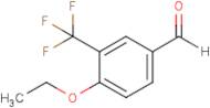 4-Ethoxy-3-(trifluoromethyl)benzaldehyde