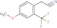 4-Methoxy-2-(trifluoromethyl)phenylacetonitrile