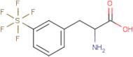 3-(Pentafluorosulfur)-DL-phenylalanine