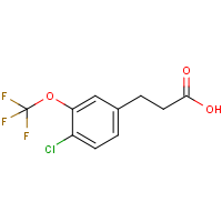 3-[4-Chloro-3-(trifluoromethoxy)phenyl]propionic acid