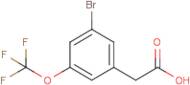 3-Bromo-5-(trifluoromethoxy)phenylacetic acid