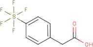 4-(Pentafluorosulfur)phenylacetic acid