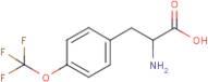 4-(Trifluoromethoxy)-DL-phenylalanine