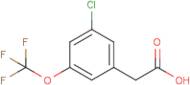 3-Chloro-5-(trifluoromethoxy)phenylacetic acid