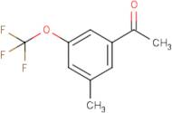 3'-Methyl-5'-(trifluoromethoxy)acetophenone