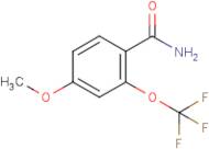 4-Methoxy-2-(trifluoromethoxy)benzamide