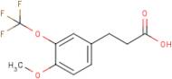 3-[4-Methoxy-3-(trifluoromethoxy)phenyl]propionic acid