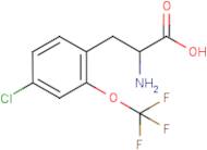 4-Chloro-2-(trifluoromethoxy)-DL-phenylalanine