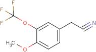 4-Methoxy-3-(trifluoromethoxy)phenylacetonitrile