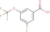 3-Fluoro-5-(trifluoromethoxy)benzoic acid