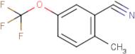 2-Methyl-5-(trifluoromethoxy)benzonitrile
