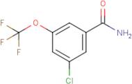 3-Chloro-5-(trifluoromethoxy)benzamide