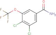 3,4-Dichloro-5-(trifluoromethoxy)benzamide