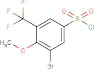 3-Bromo-4-methoxy-5-(trifluoromethyl)benzenesulfonyl chloride