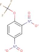 2,4-Dinitro-1-(trifluoromethoxy)benzene