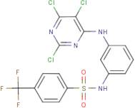 N1-{3-[(2,5,6-trichloropyrimidin-4-yl)amino]phenyl}-4-(trifluoromethyl)benzene-1-sulphonamide