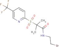 N1-(2-bromoethyl)-2-methyl-2-{[5-(trifluoromethyl)-2-pyridyl]sulphonyl}propanamide