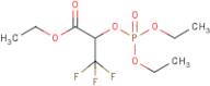 ethyl 2-[(diethoxyphosphoryl)oxy]-3,3,3-trifluoropropanoate