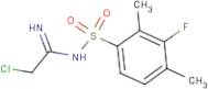 N1-(2-chloroethanimidoyl)-3-fluoro-2,4-dimethylbenzene-1-sulphonamide