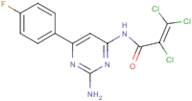 N1-[2-amino-6-(4-fluorophenyl)pyrimidin-4-yl]-2,3,3-trichloroacrylamide