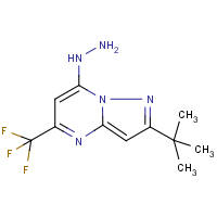 2-(tert-butyl)-7-hydrazino-5-(trifluoromethyl)pyrazolo[1,5-a]pyrimidine