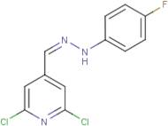 2,6-dichloroisonicotinaldehyde N-(4-fluorophenyl)hydrazone