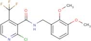 2-chloro-N-(2,3-dimethoxybenzyl)-4-(trifluoromethyl)nicotinamide